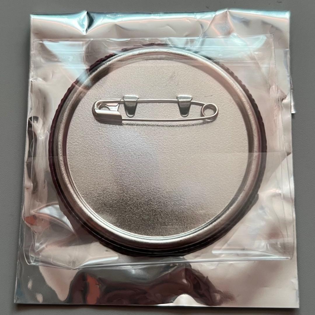 ストレンジャーシングス グリッター缶バッジ スティーブ コミコン 限定