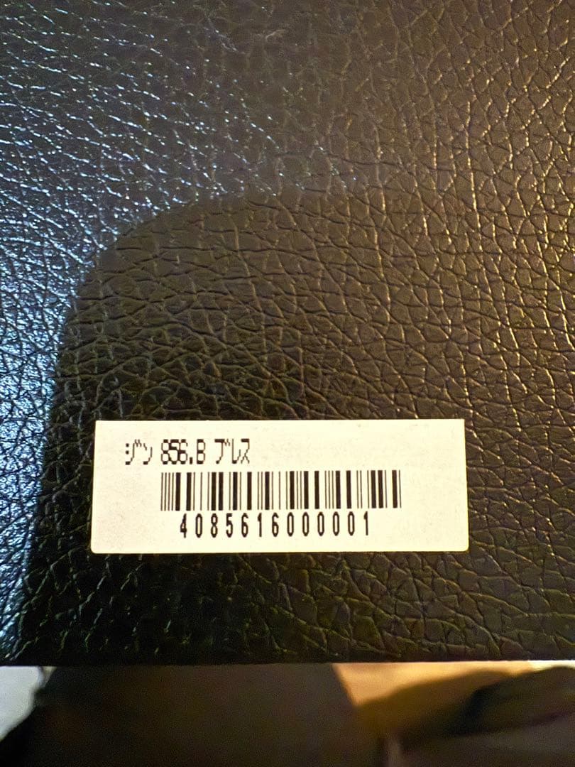 Sinn 856.B ジン オーバーホール済み オプションナイロストラップ付き