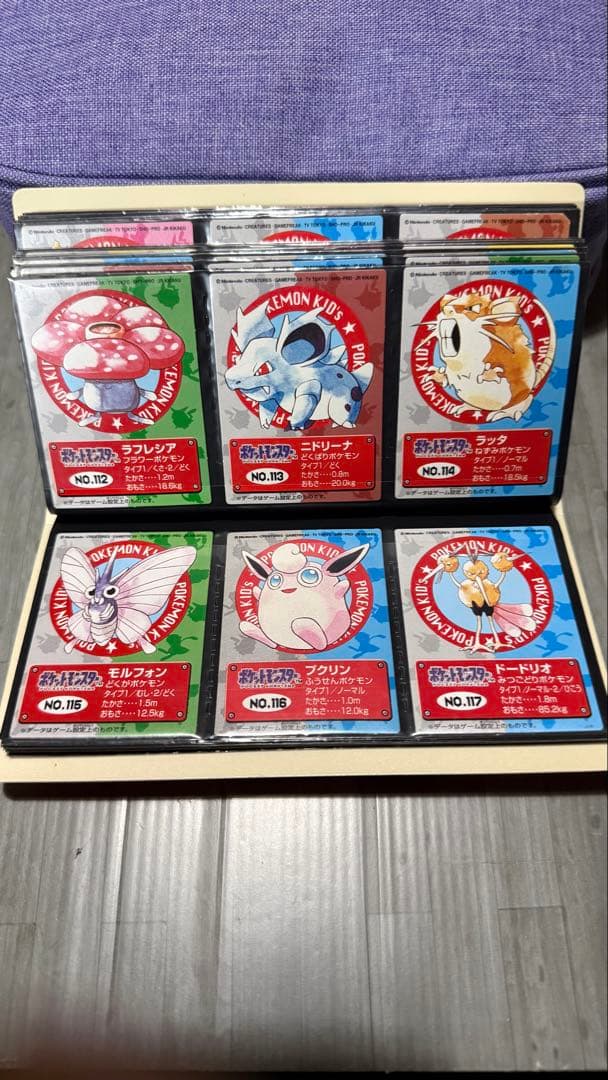 ポケモン キッズ カード フルコンプ ファイル付 リザードン ピカチュウ