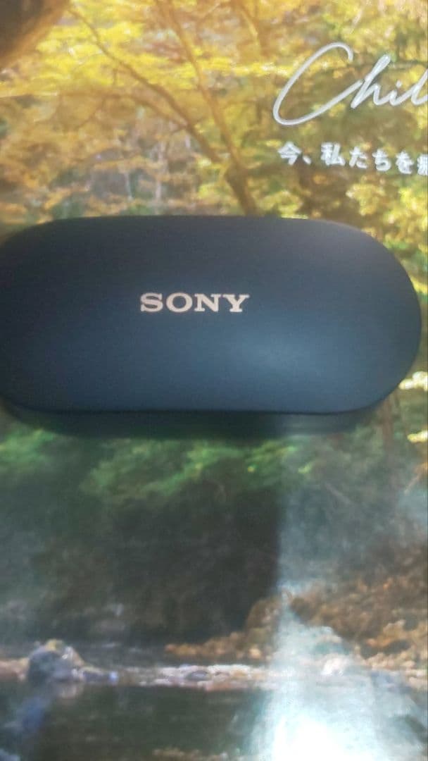 数量限定価格 ケース イヤホン両方バッテリー新品交換 wf-1000xm4