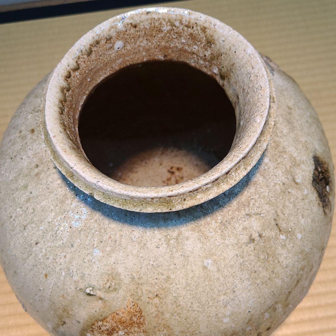 信楽焼 澤 克典作 信楽壷 高さ1尺1.5寸（約35cm） 共箱 本物保証