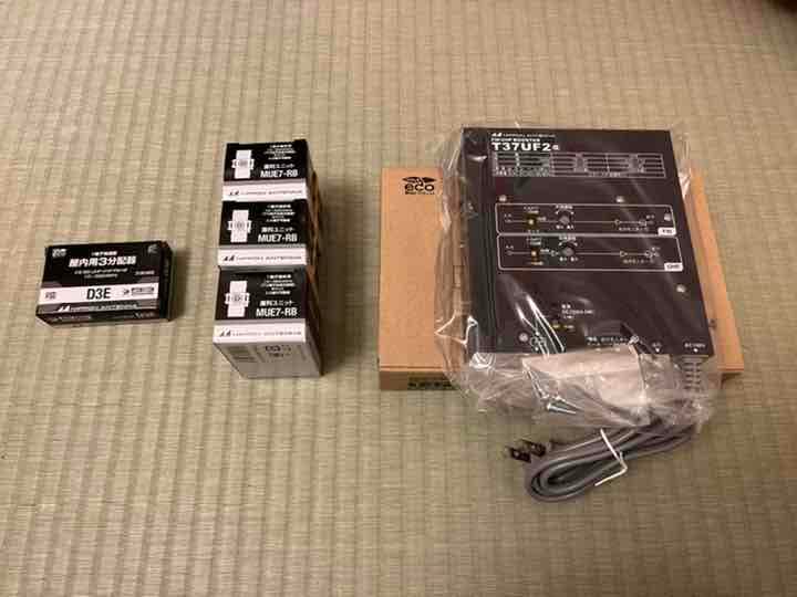 ☆昆虫標本☆【オオクツワムシ】マレーシア産Archbacris tenuipes