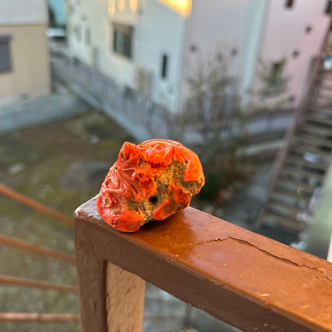 赤珊瑚　根付　大名　根付　龍 赤珊瑚 根付 大名 根付 龍