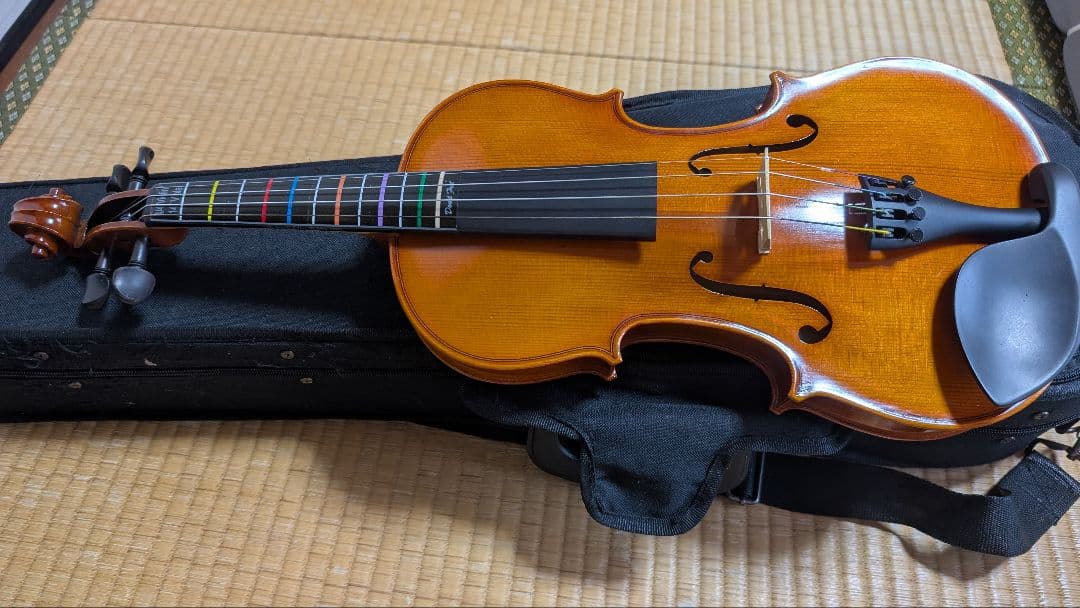 Andreas Eastman Standard VL80 セットバイオリン