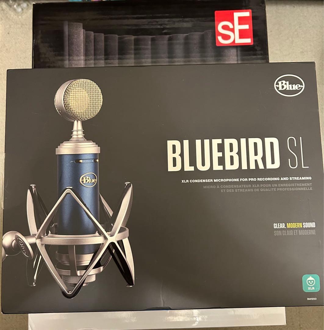 値下Rockman Sustainor（Model200）国内100V仕様B'z