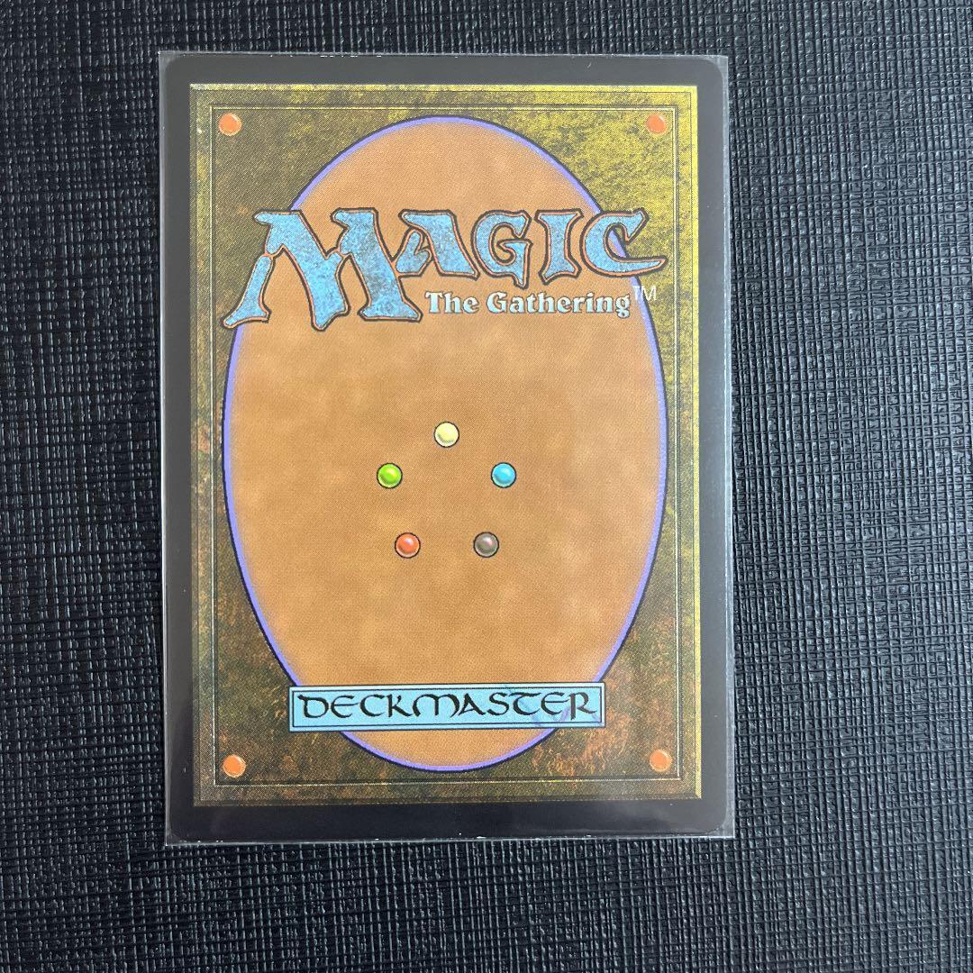 MTG EXP 溢れかえる果樹園 エクスペディション FOIL ショップ MTG EXP