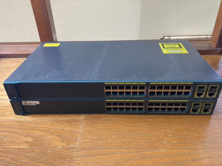 西表島 規制前採集品 チャイロマルバネクワガタ