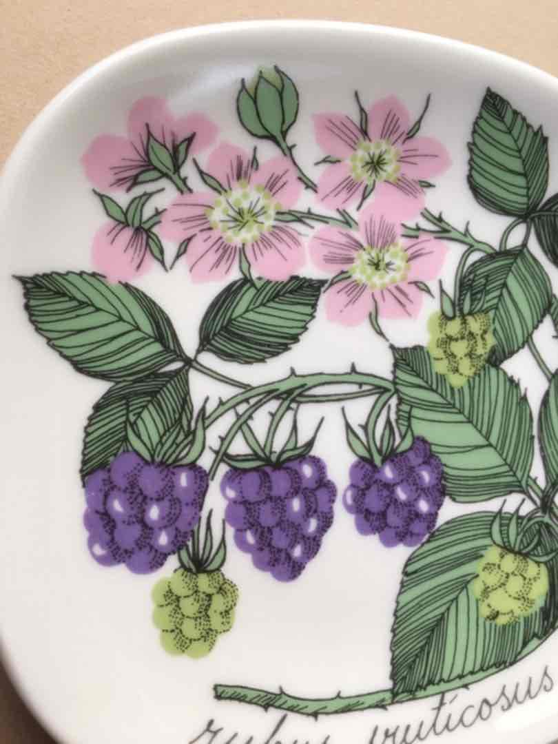 ショップ アラビア Botanica/ボタニカ ブラックベリー ウォールプレート