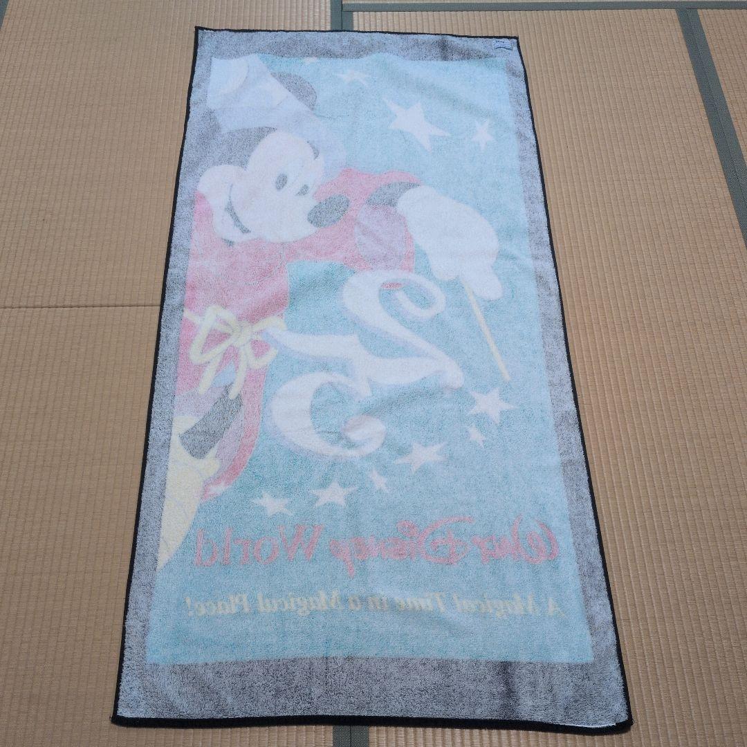 ディズニーワールド　タオルケット3枚セット