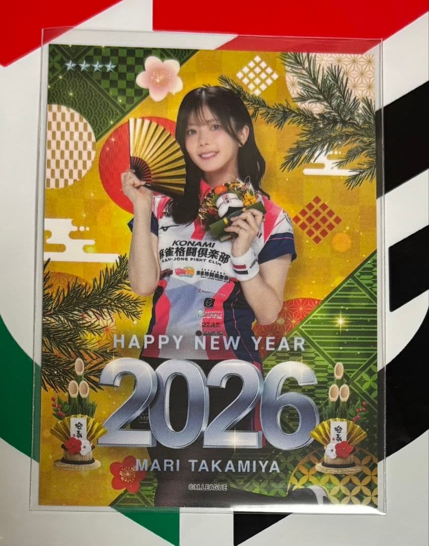 餓狼伝説2 餓狼伝説SPECIAL 格闘免許証 トレーディングカード 152枚