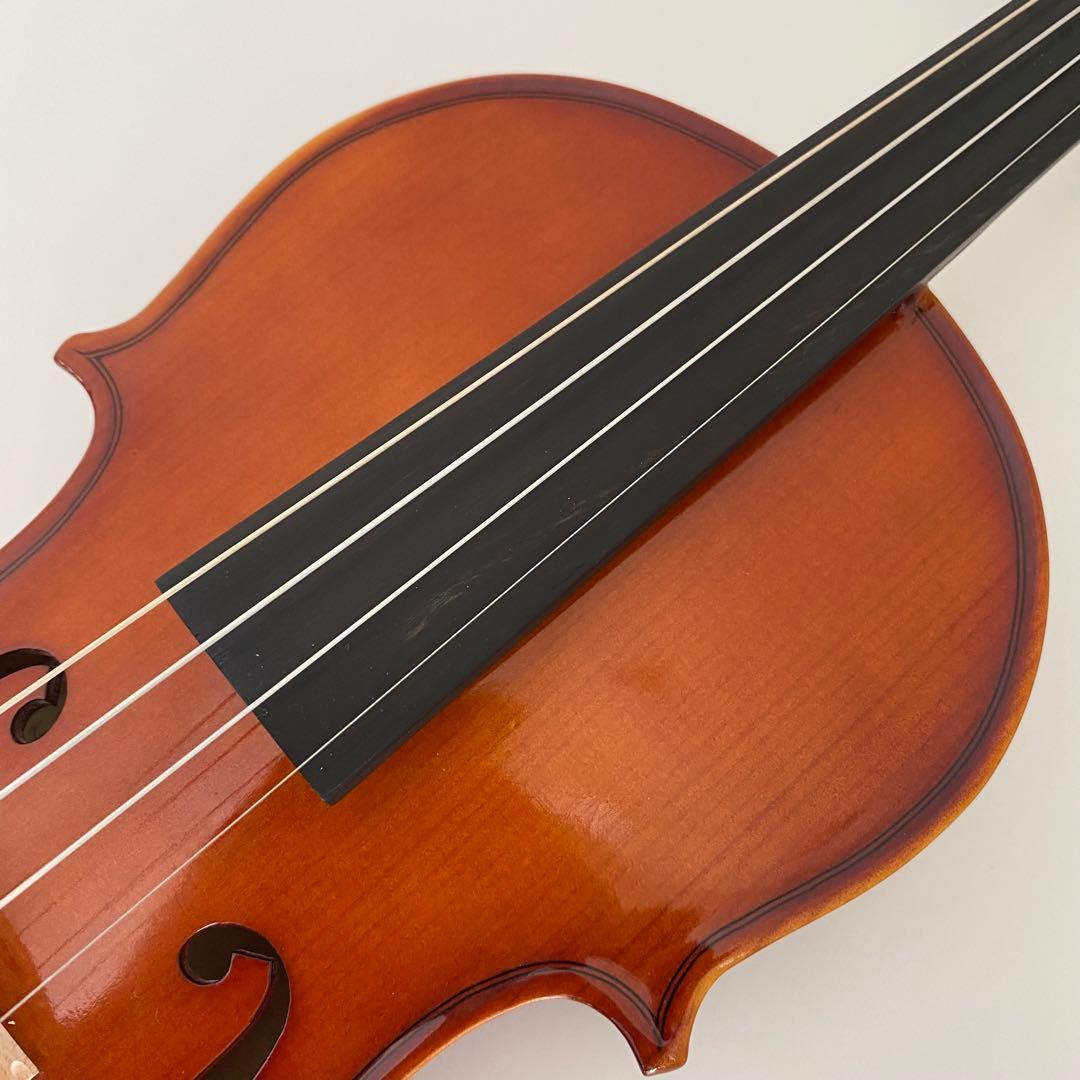 Carlo giordanoカルロジョルダーノ VS-1 3/4 ケース付