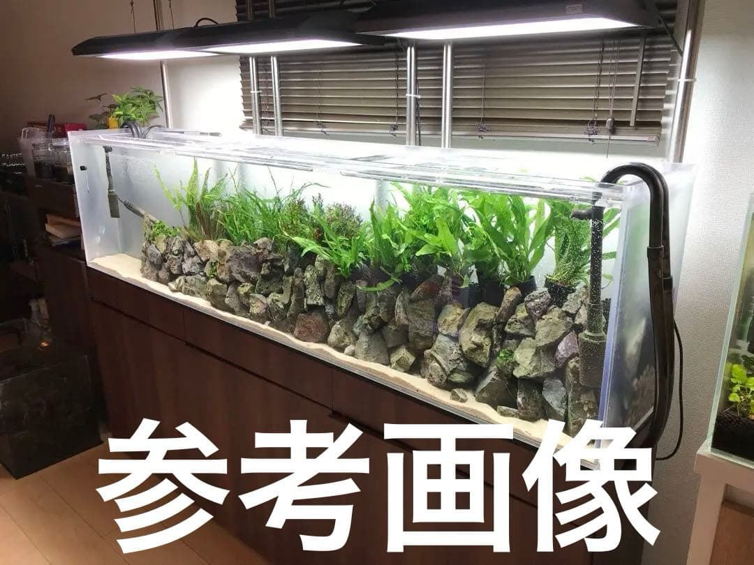 ADA ソーラーRGB 水槽用LEDライト 高級品