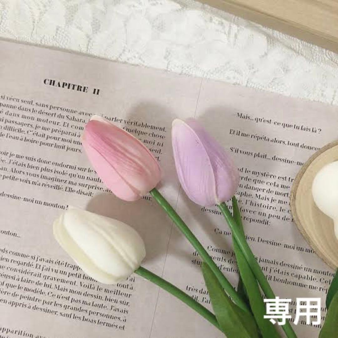 本日のみ値下げ)法存立の歴史的基盤 木庭顕