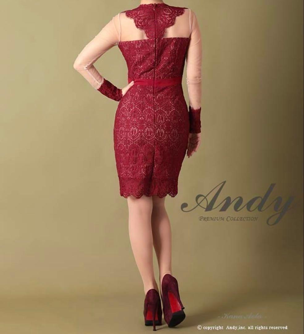 [新品] Andy 妖艶の透け感★ キャバドレス 袖ありドレス 長袖 Ｍ
