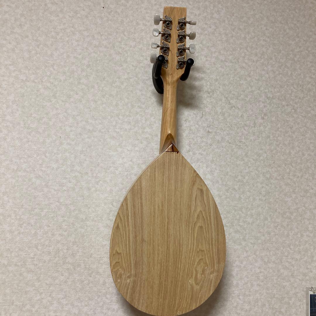 イケガクのフラットマンドリン