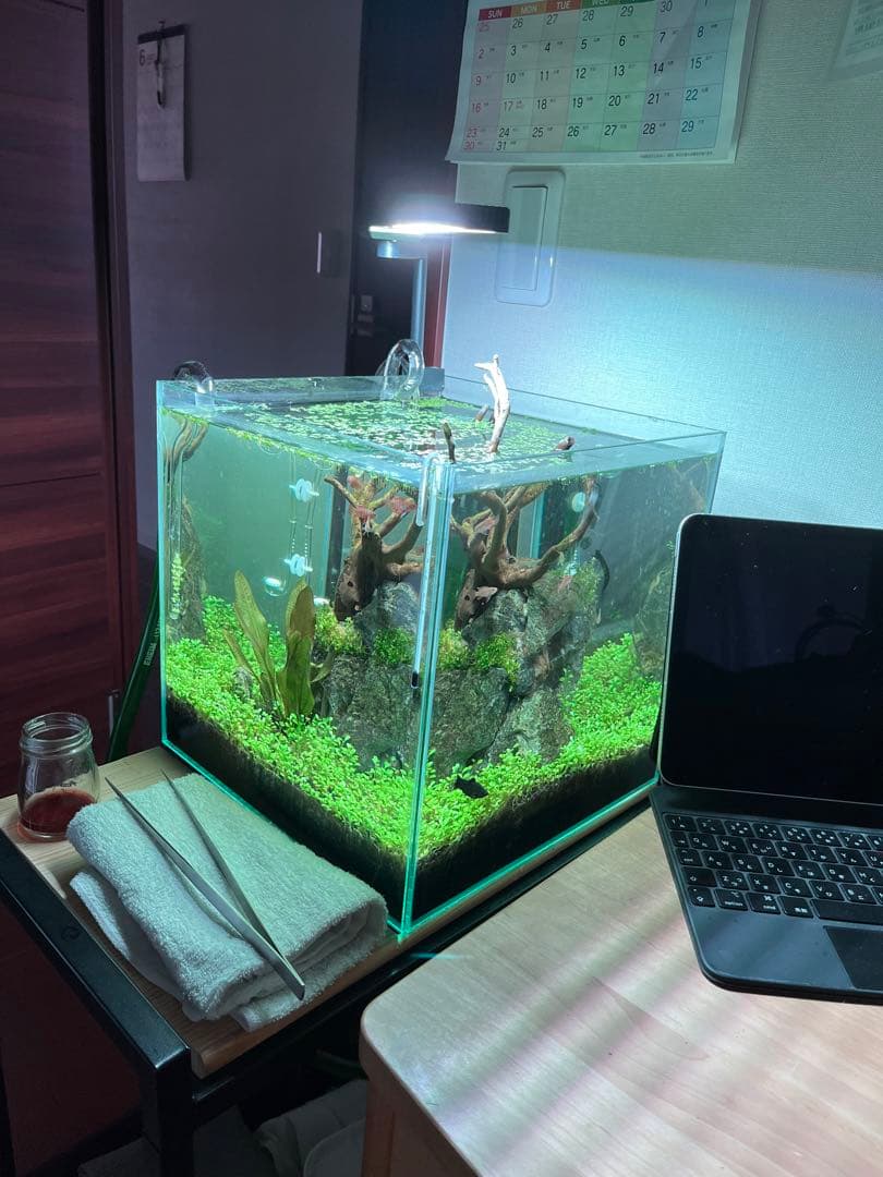 アクアリウム LEDライトChihiros C2 RGB 超 安い