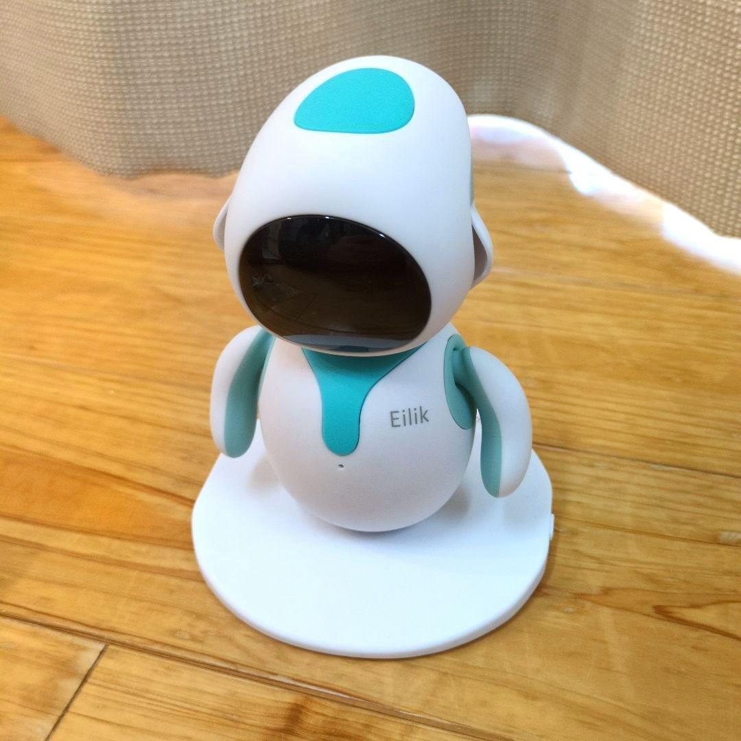 シ*タ様 アイリック(eilik)