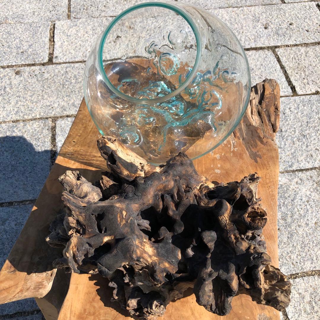 流木ガラス オブジェ超特大F 花瓶 金魚鉢 水槽 テラリウム 観賞魚
