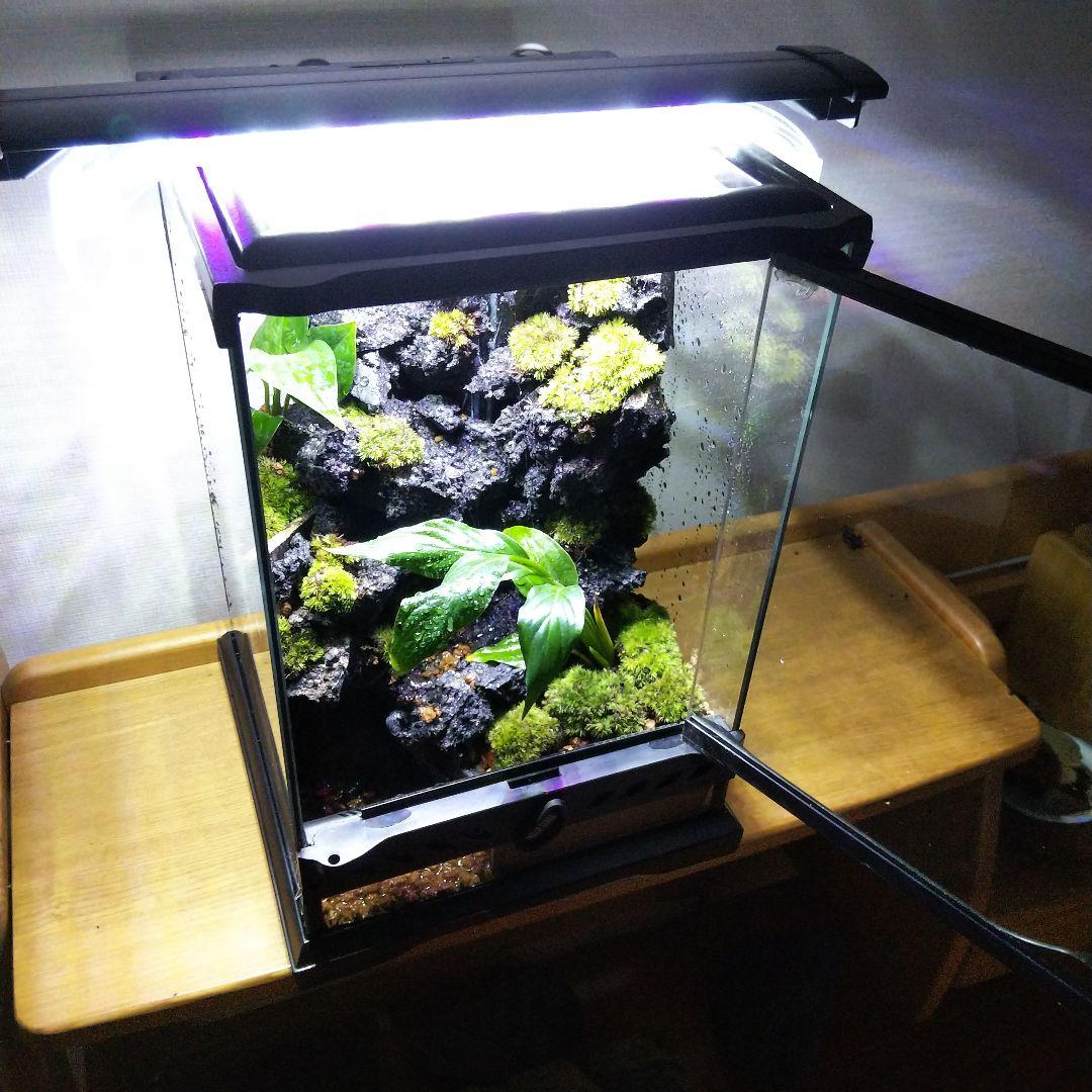 オーダーメイド】滝のあるアクアテラリウム - メルカリ