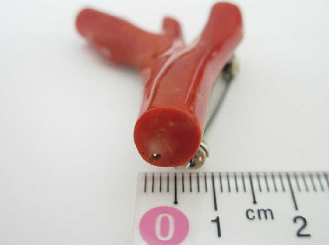 血赤珊瑚 サンゴ 9.7g ブローチ 本珊瑚 h49a