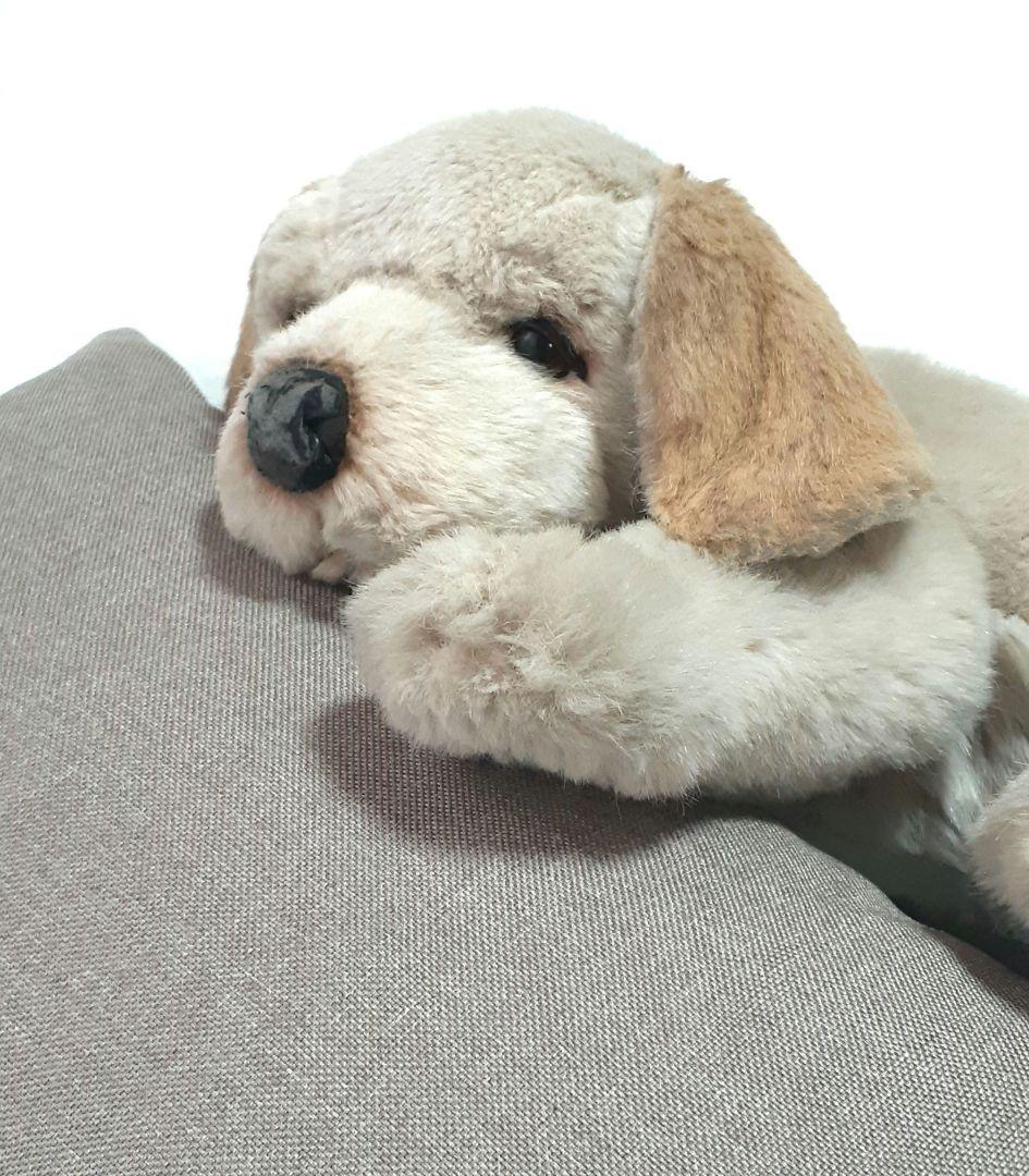 【美品】ジョックライン　JOCKLINE社　当時物　イタリア製　犬　ゴールデン