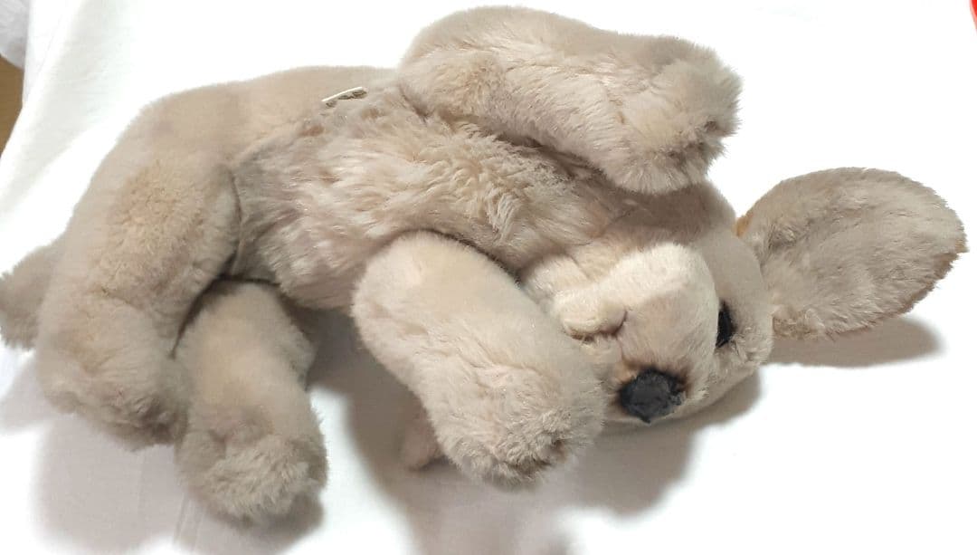 【美品】ジョックライン　JOCKLINE社　当時物　イタリア製　犬　ゴールデン