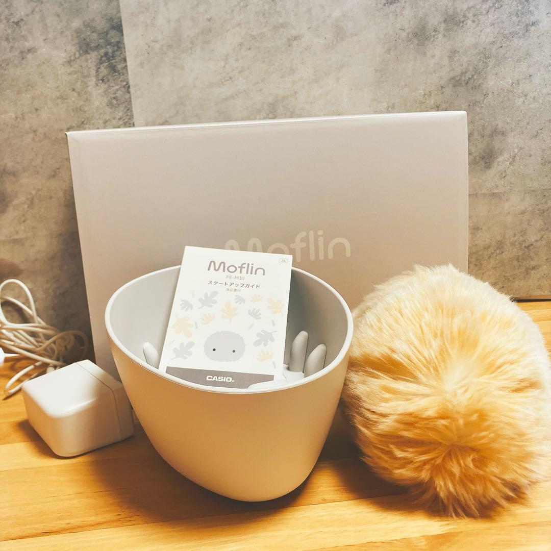 うしうし様専用】カシオMoflin(PE-M10)ゴールド
