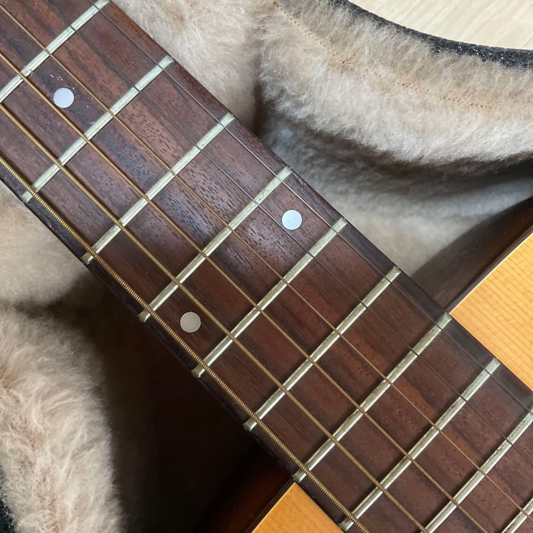 《サイモン＆パトリック》S&P6