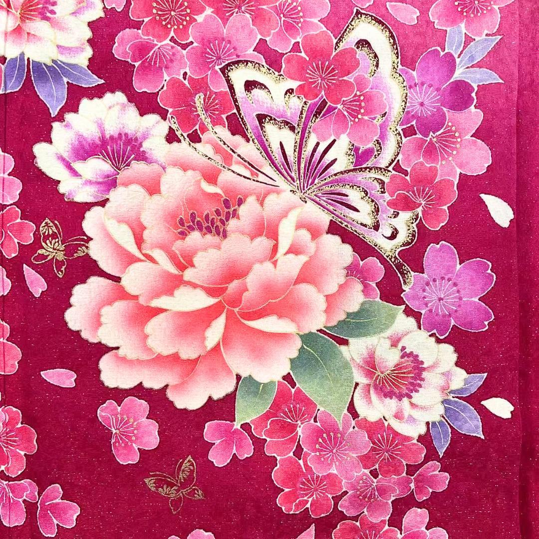 ≪早い者勝ち≫【お得品】 振袖 正絹 古典柄 成人式 単品 桜