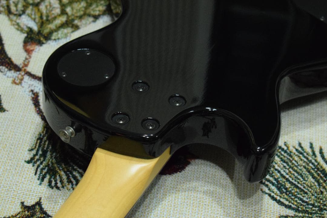 Burny Fernandes LG-480 SLG-50 ソフトケース付