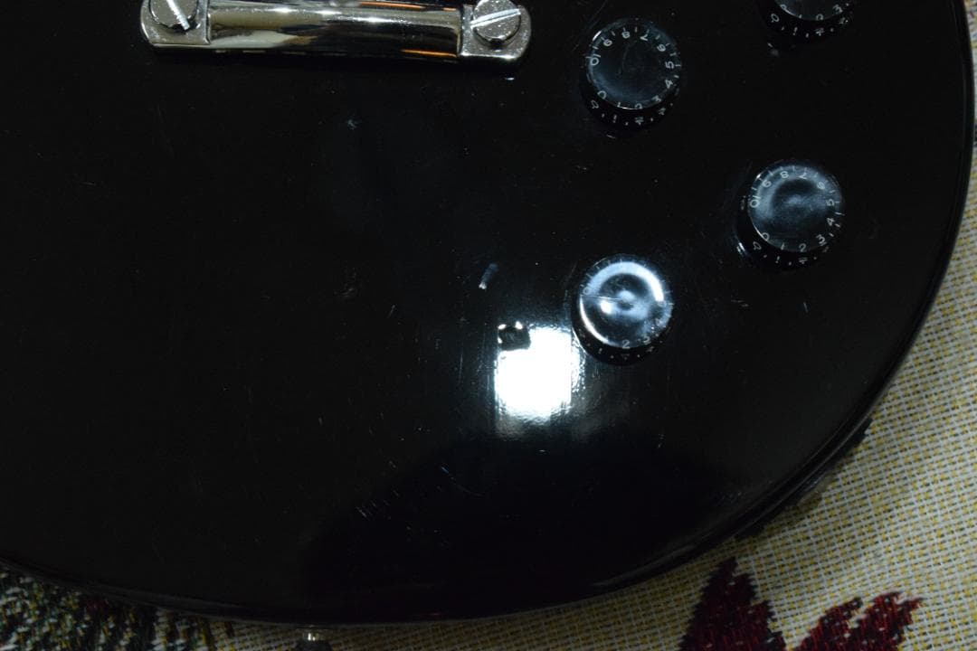 Burny Fernandes LG-480 SLG-50 ソフトケース付