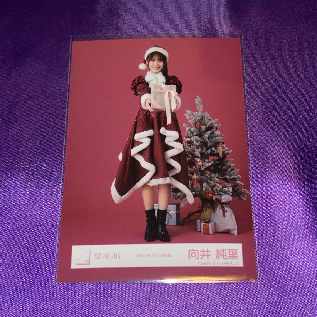 向井純葉 サンタ衣装 2025 生写真 櫻坂46 ヒキ - メルカリ