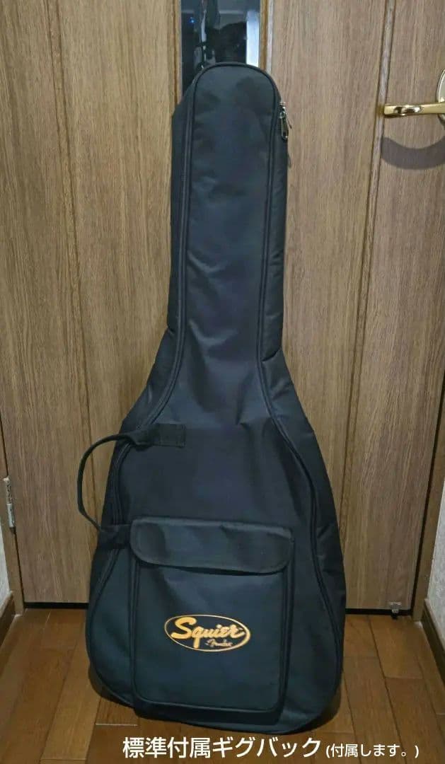 A*a様 Squier Starcaster by fenderチューンナップ品