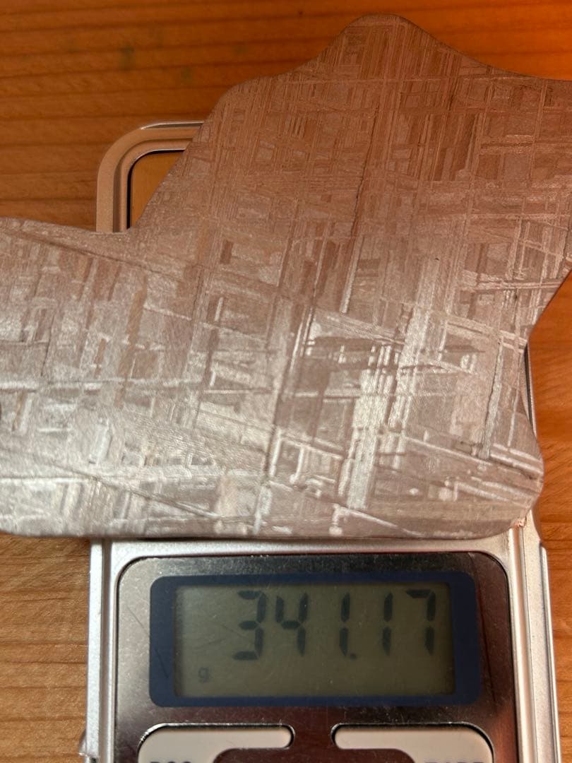 玉 砡 蝉 セミ 玉蝉 中国 China