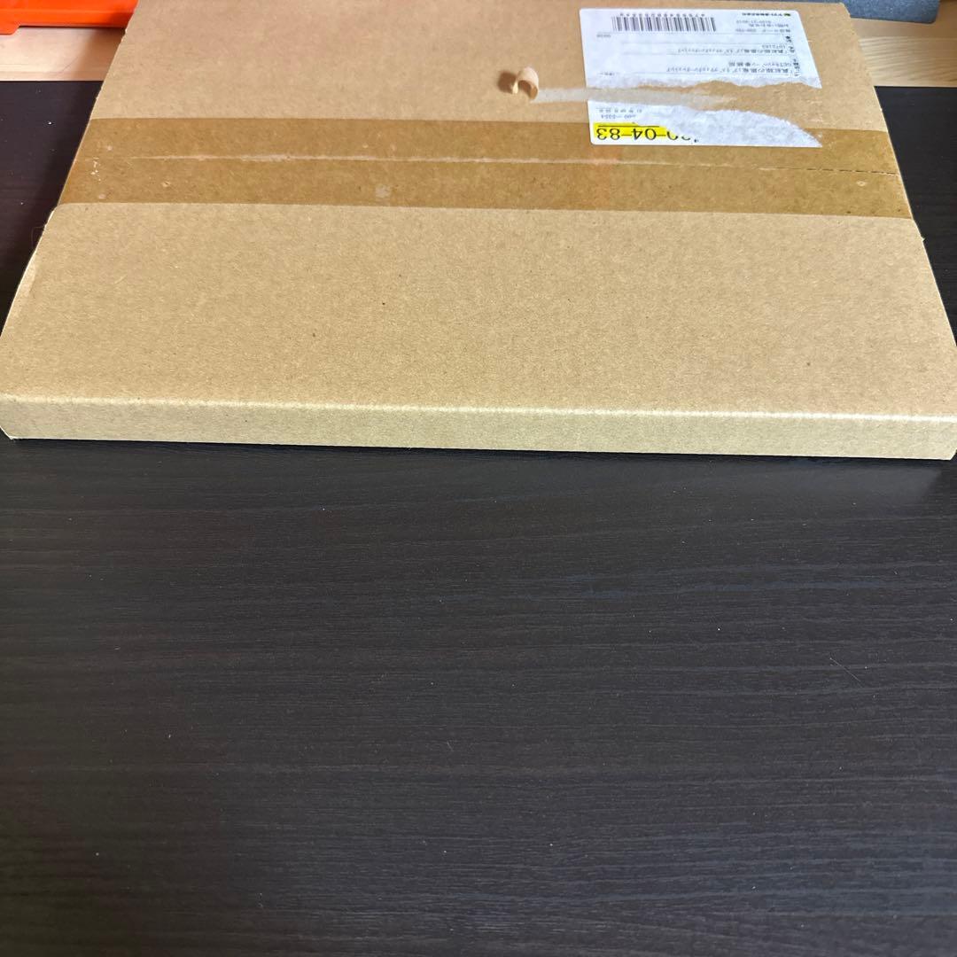 真紅眼の黒竜　プリズマティックシークレットレア