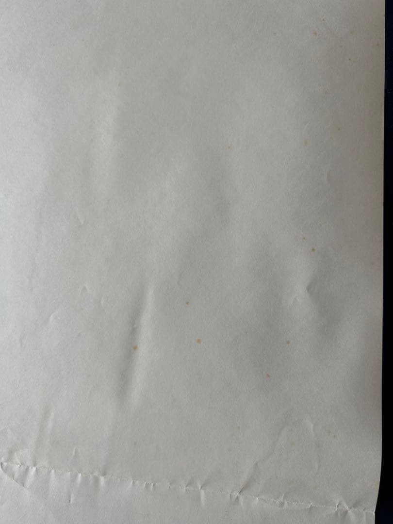 ラッキー・レディ　USオリジナル映画ポスター