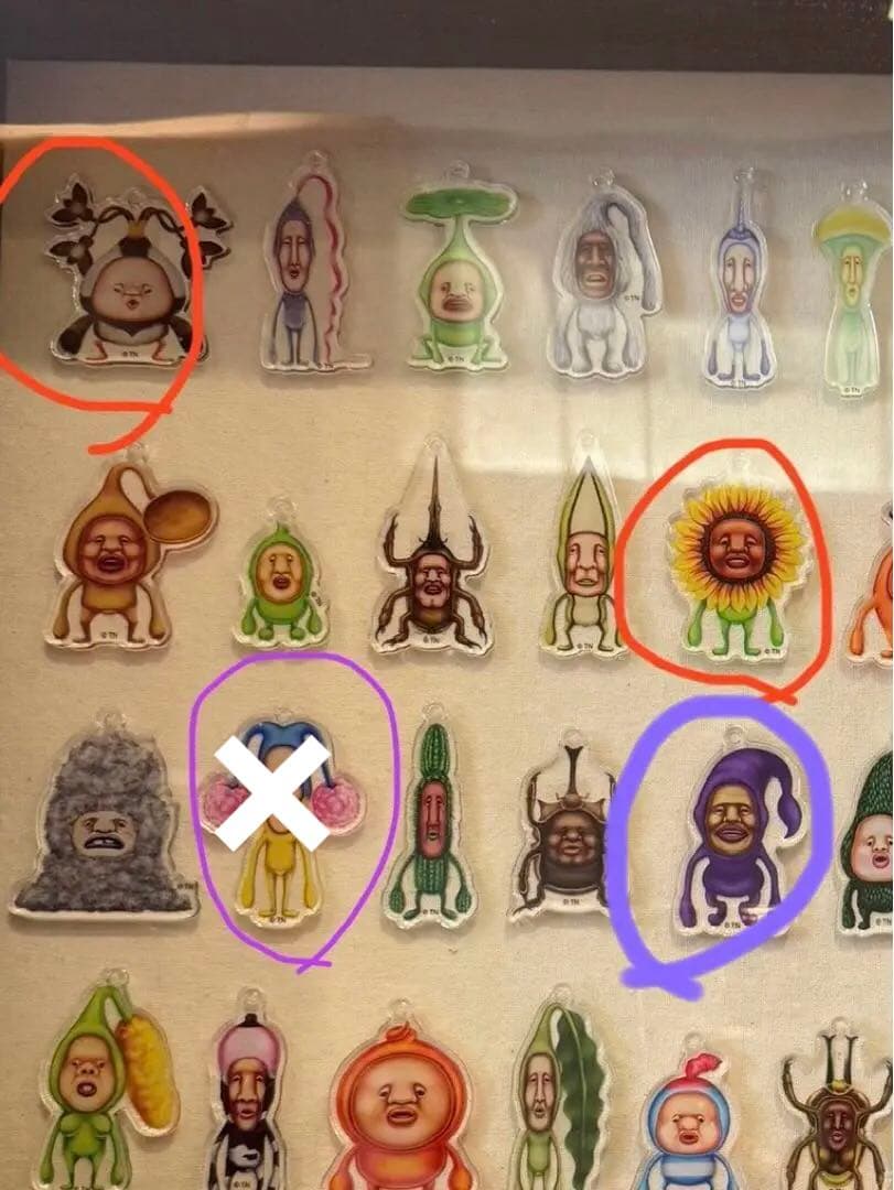 確認用　　希望　こびとづかんEXPO 限定アクリルキーホルダー