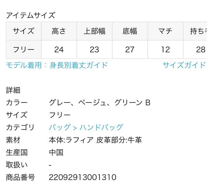 ポートレート シャルロット・デュノア 特典 IS シャルロット・デュノア