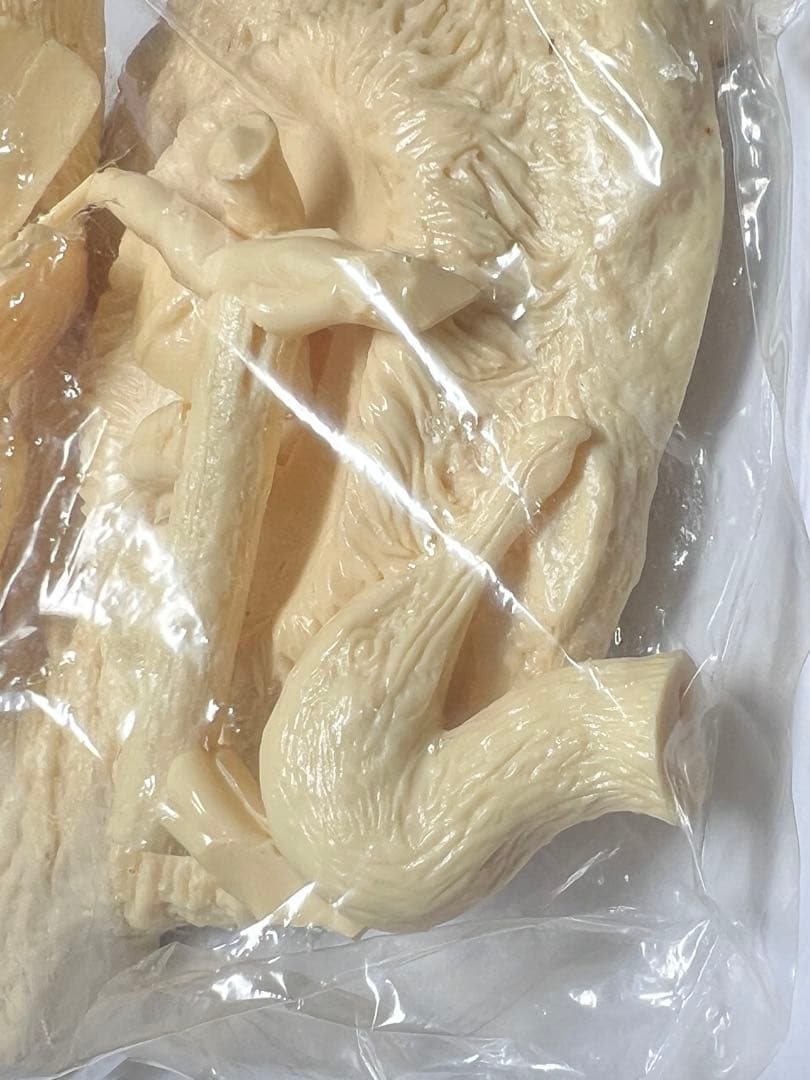 海洋堂　ガラパコスコバネウ　レジンキット 動物 生き物 フィギュア　松村しのぶ