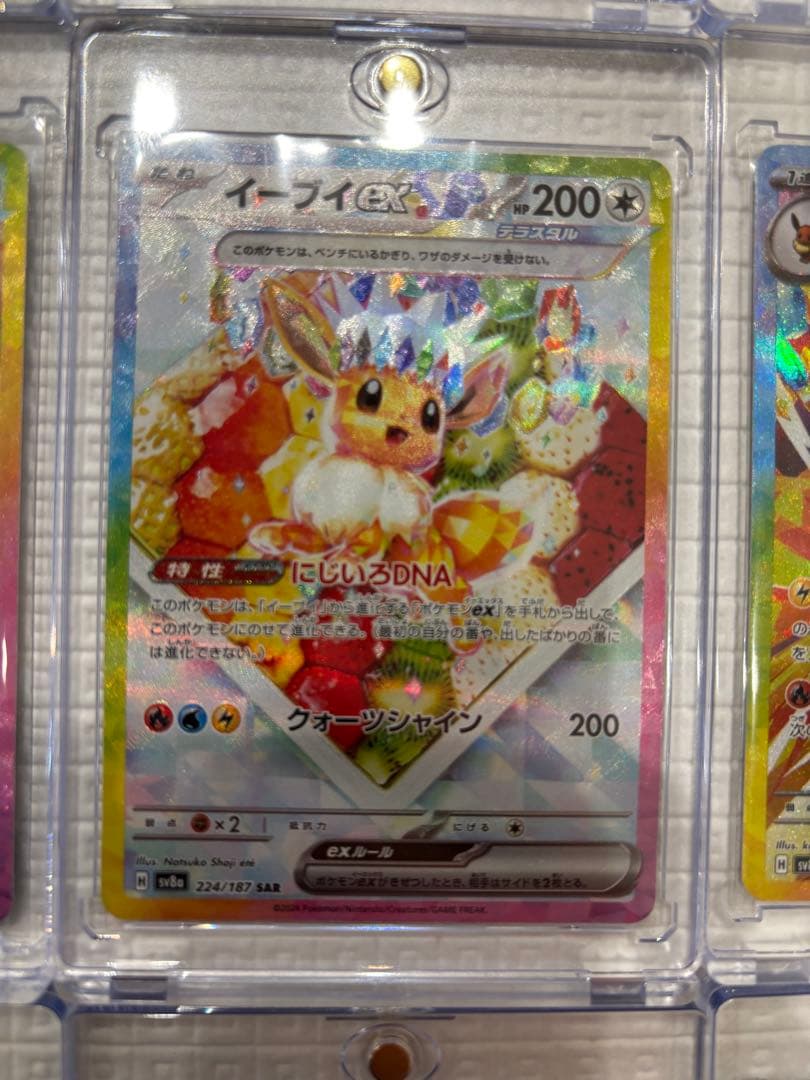 テラスタルフェスex ブイズ SAR 9枚 まとめ売りセット