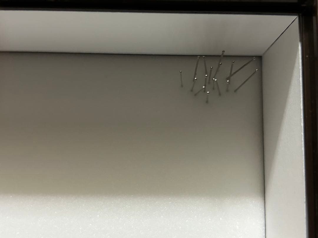 ヘラクレスオオカブト標本(亜種5種)シーラケースセット