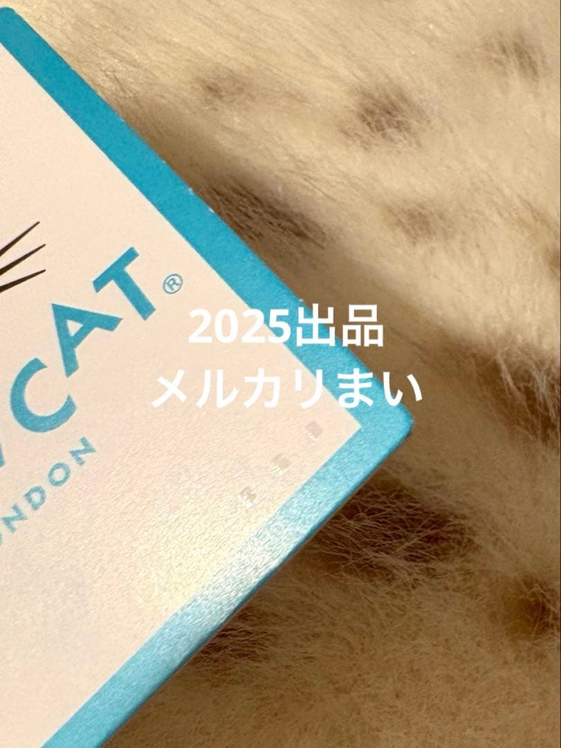  Galumphous Seal ゴマフアザラシ　ぬいぐるみ