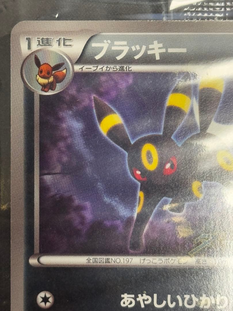 未開封 ブラッキー BW-Pプロモカード 115/BW-P ダークラッシュ