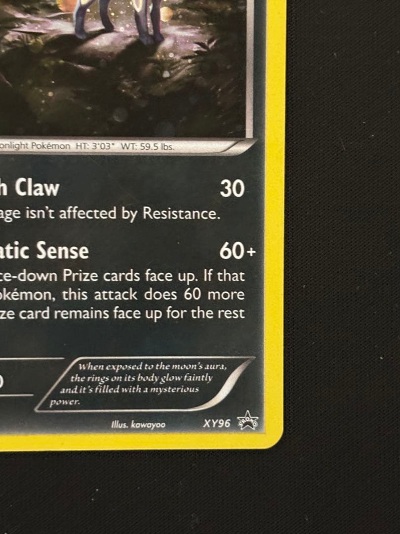 d*4様 ブラッキーナイトバトルプロモ英語版 xy96 正規品Umbreon