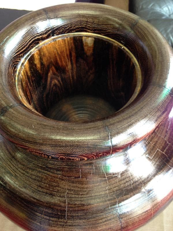 ☆ラッキー特価！☆ タガヤサン（鉄刀木）45cm 特大壷