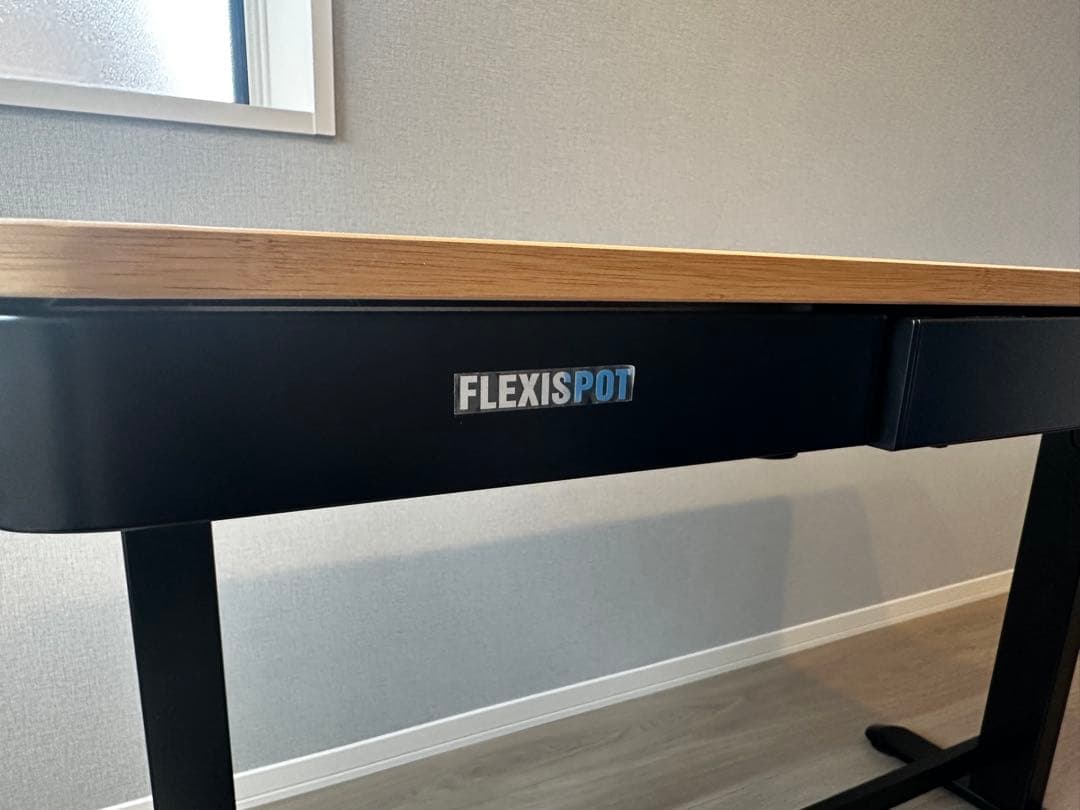 FlexiSpot EW8 昇降式デスク 横幅120cm