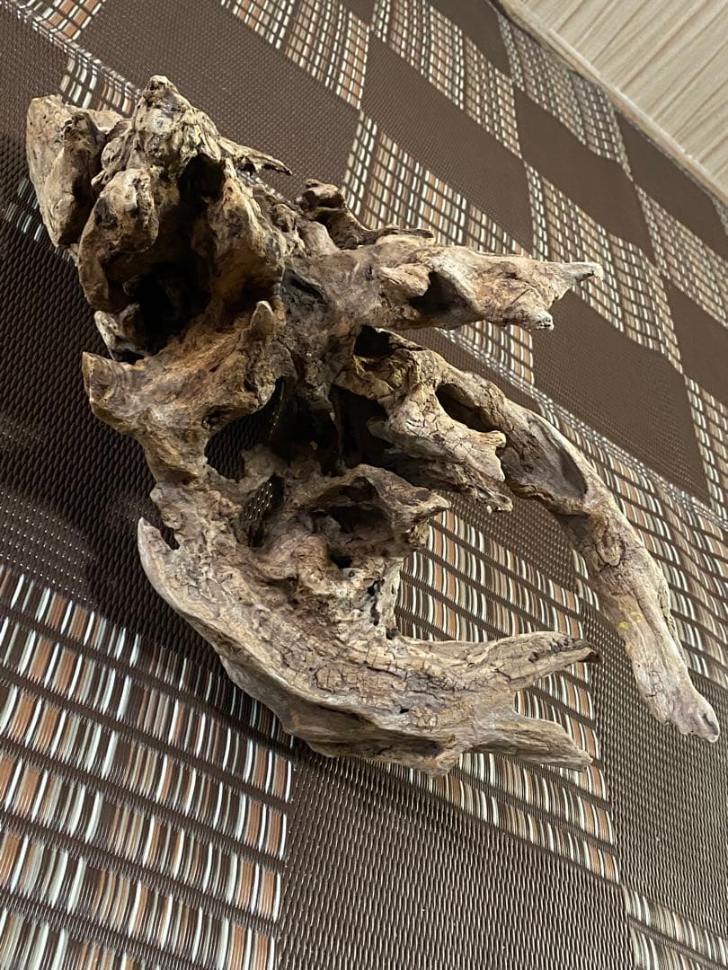 大型流木 44×28×24cm no.96