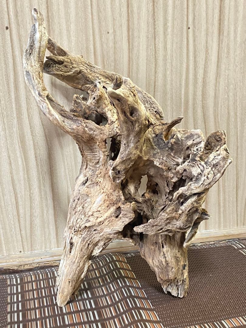 大型流木 44×28×24cm no.96