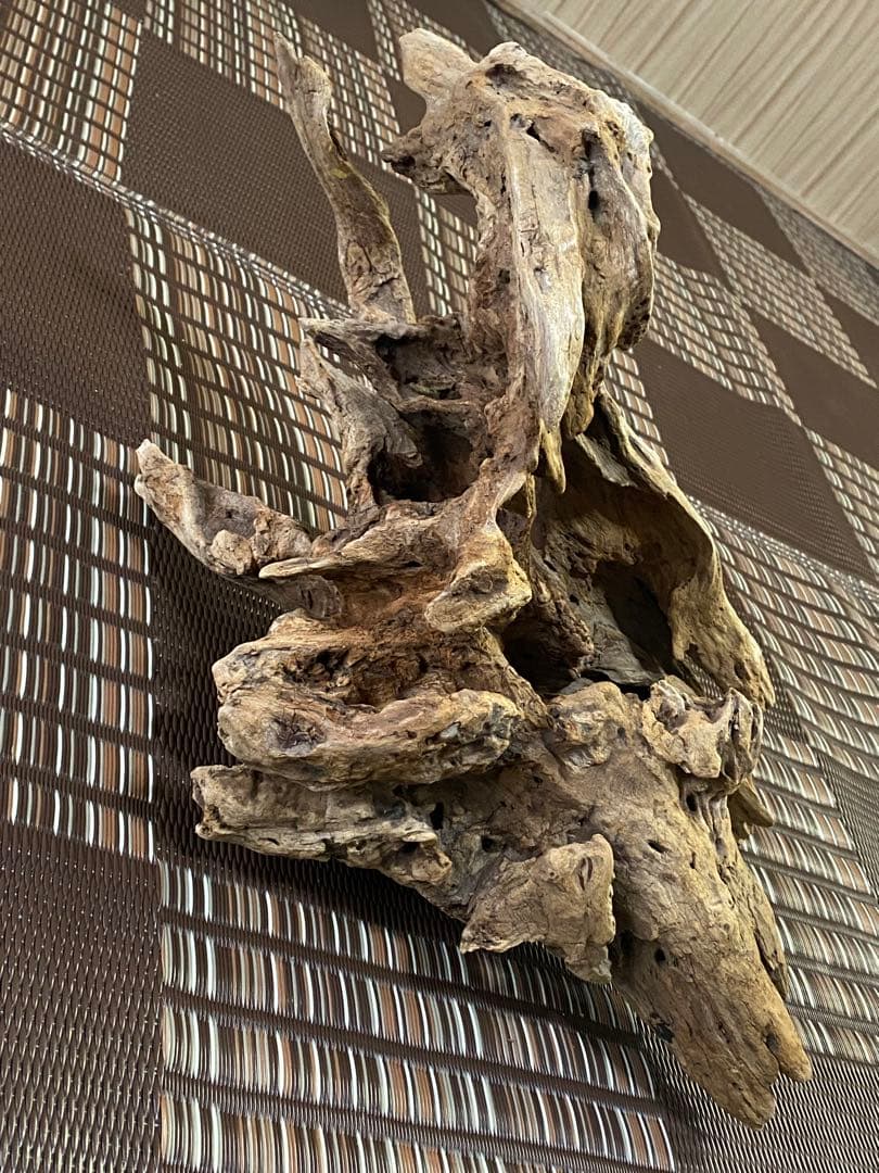 大型流木 44×28×24cm no.96