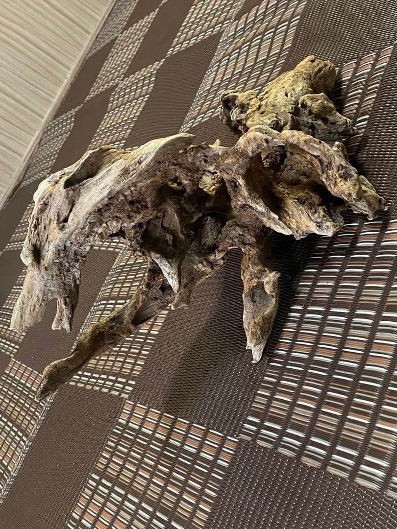 大型流木 44×28×24cm no.96